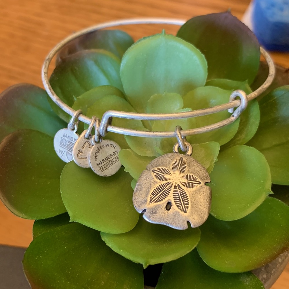 Alex and Ani Bracelet - Sand Dollar